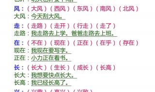 很什么也很什么造句一年级
