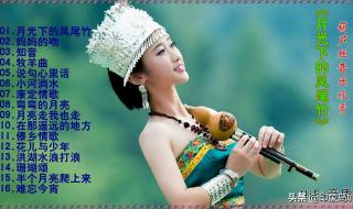 葫芦丝月光下的凤尾竹