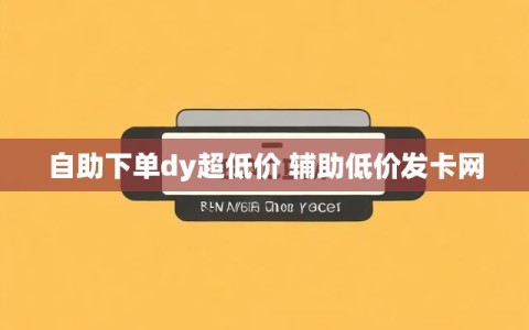 自助下单dy超低价 辅助低价发卡网