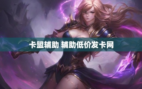 卡盟辅助 辅助低价发卡网
