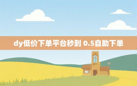 dy低价下单平台秒到 0.5自助下单
