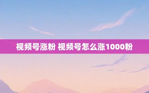 视频号涨粉 视频号怎么涨1000粉