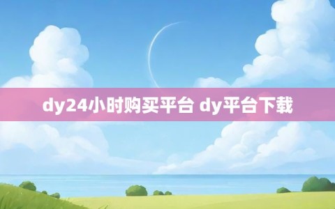 dy24小时购买平台 dy平台下载