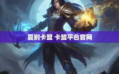 夏别卡盟 卡盟平台官网