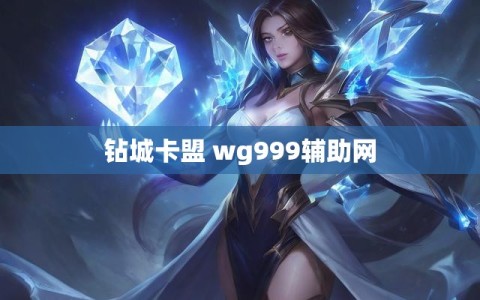 钻城卡盟 wg999辅助网