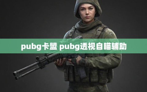 pubg卡盟 pubg透视自瞄辅助