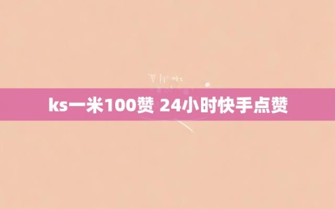 ks一米100赞 24小时快手点赞