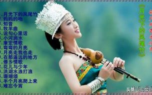 哪种竹子做的葫芦丝最好 葫芦丝月光下的凤尾竹