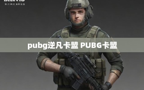 pubg逆凡卡盟 PUBG卡盟