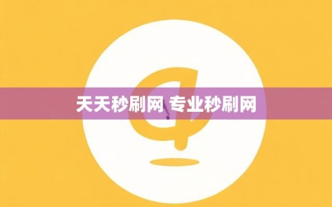 天天秒刷网 专业秒刷网