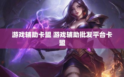 游戏辅助卡盟 游戏辅助批发平台卡盟