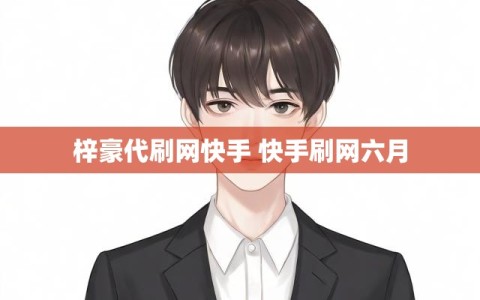 梓豪代刷网快手 快手刷网六月