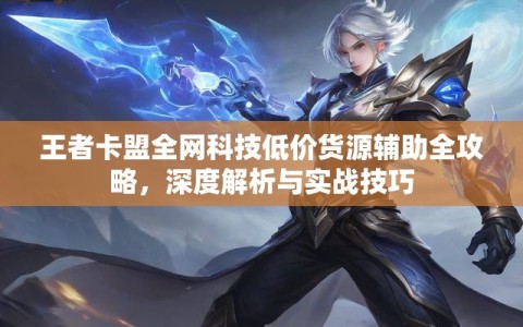 王者卡盟全网科技低价货源辅助全攻略，深度解析与实战技巧