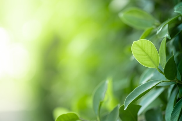 小戏骨西游记百花羞第几集 西游记又一老戏骨逝世