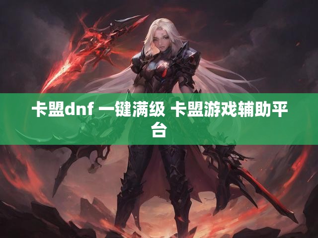 卡盟dnf 一键满级 卡盟游戏辅助平台