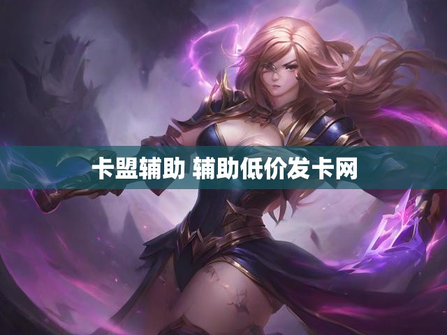 卡盟辅助 辅助低价发卡网