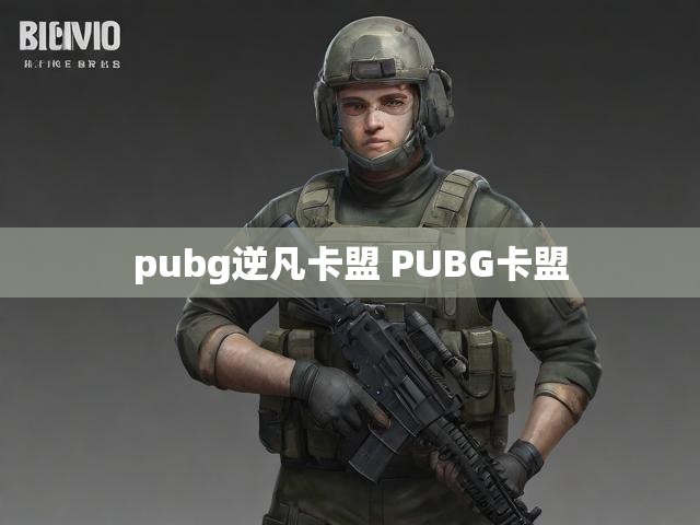 pubg逆凡卡盟 PUBG卡盟