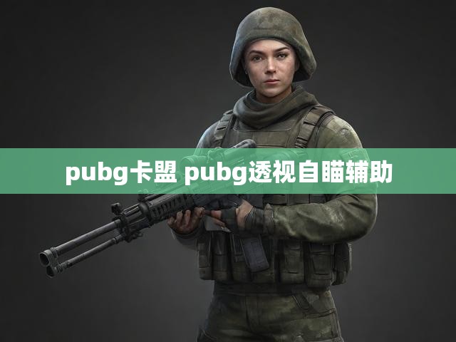 pubg卡盟 pubg透视自瞄辅助