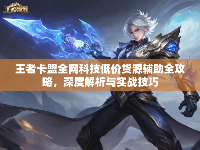 王者卡盟全网科技低价货源辅助全攻略，深度解析与实战技巧